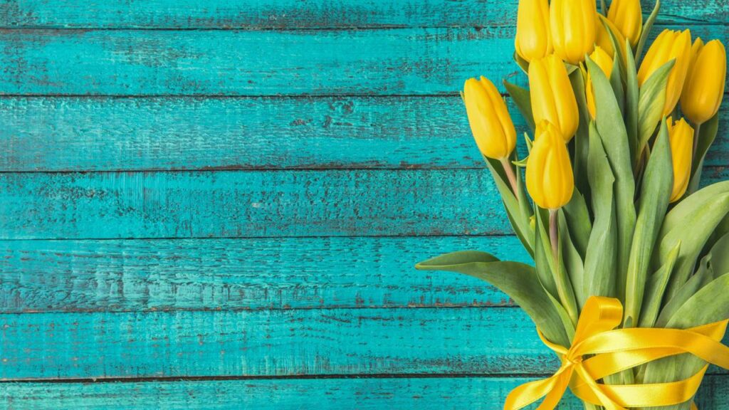 3 flores perfeitas para presentear e transmitir boas vibrações