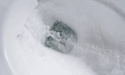 3 métodos de limpeza para deixar seu vaso cheiroso e brilhando