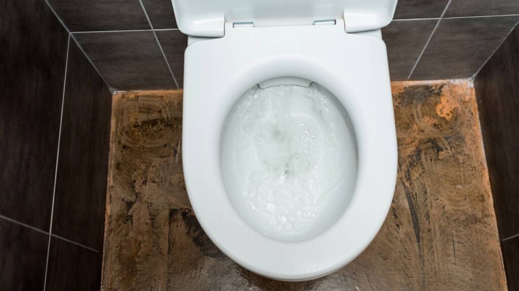 3 métodos de limpeza para deixar seu vaso cheiroso e brilhando 