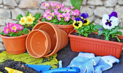 Como escolher vasos que combinam com o estilo da sua casa