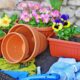 Como escolher vasos que combinam com o estilo da sua casa