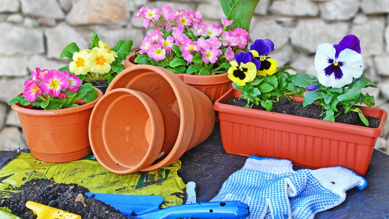 Como escolher vasos que combinam com o estilo da sua casa