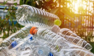 Transforme garrafas e potes em vasos e crie uma decoração sustentável