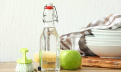 Aprendi a usar vinagre na limpeza e nunca mais gastei com produto caro