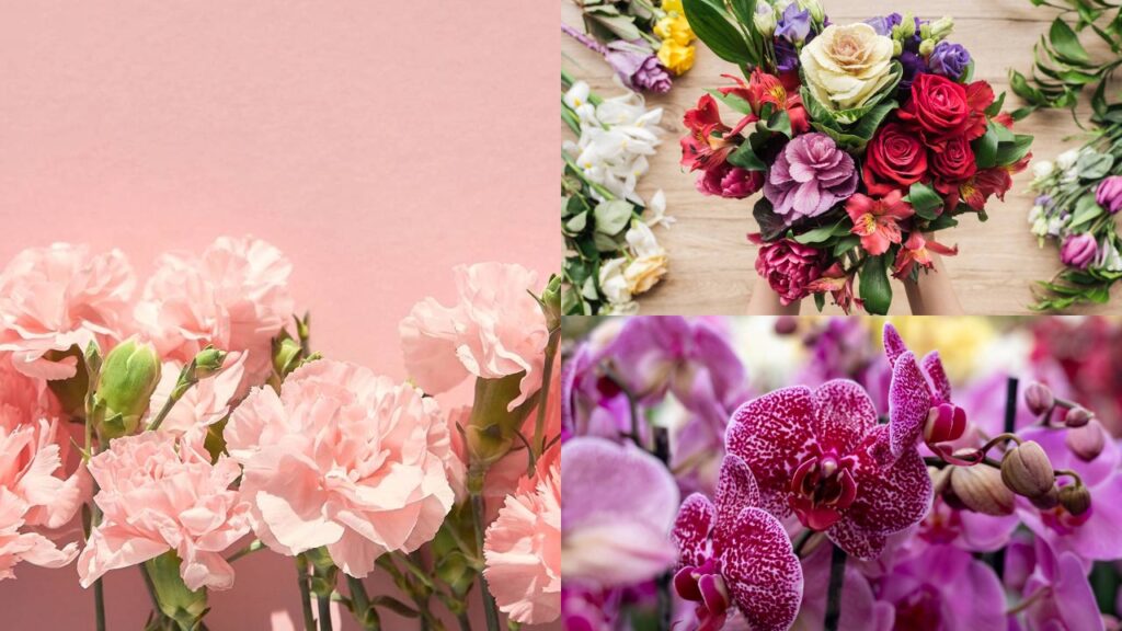 3 espécies de flores perfeitas para arranjos duradouros