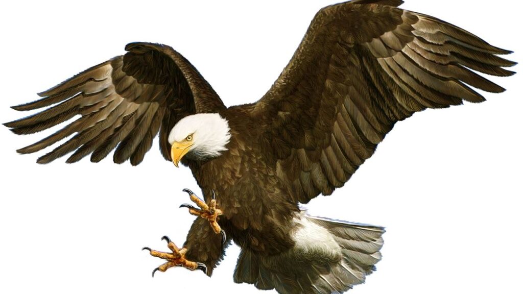 Saiba qual é o termo certo segundo a gramática