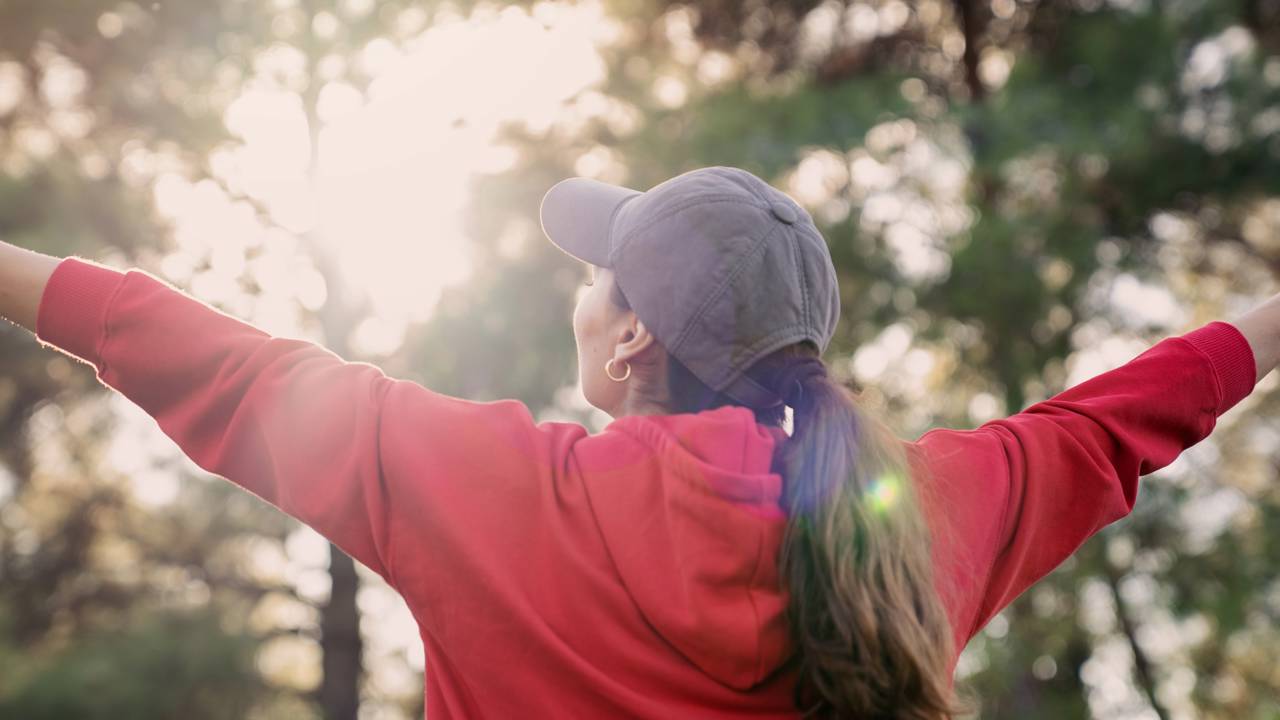 Planta que atrai prosperidade e é símbolo de fartura no lar