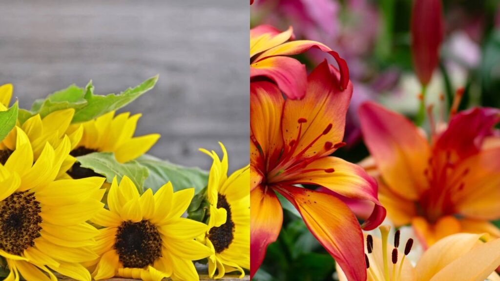 As flores que combinam com cada cômodo da casa