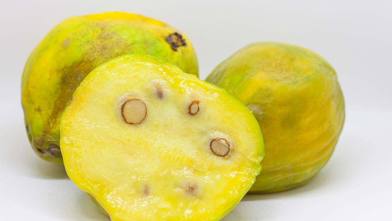 Como plantar araçá-boi e fortalecer o caule antes da floração