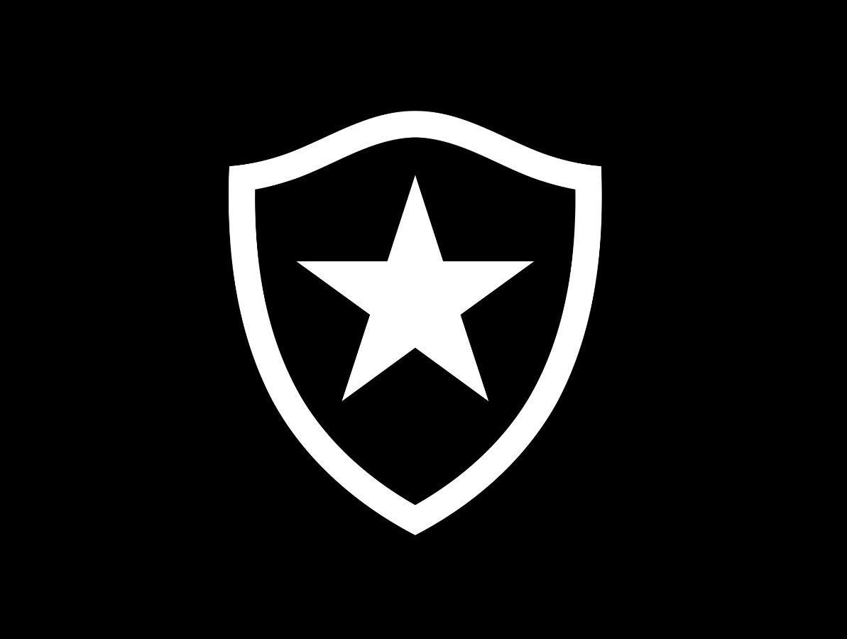 Botafogo, patrimônio do Rio? Entenda o que significa o novo título do clube