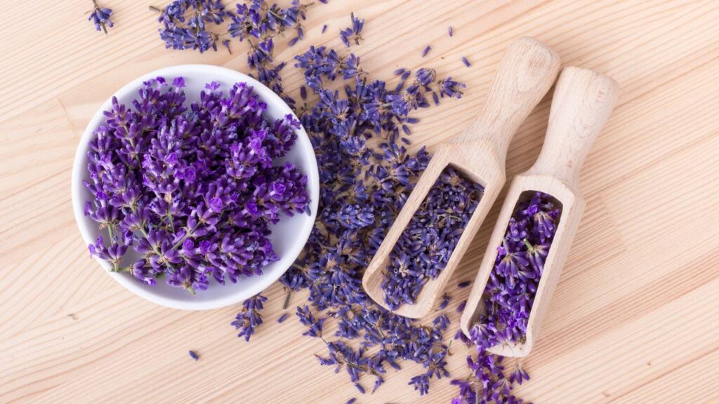 O truque da lavanda que espanta moscas e deixa o quarto com um perfume leve e acolhedor