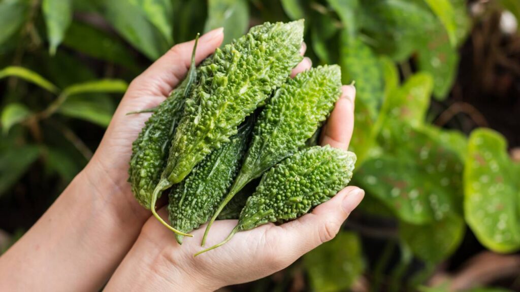 Fruta que brota em até 30 dias e surpreende ainda mais pelo sabor doce escondido