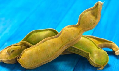 Fruta cultivada por povos antigos frutifica rápido e pode ser plantada em casa