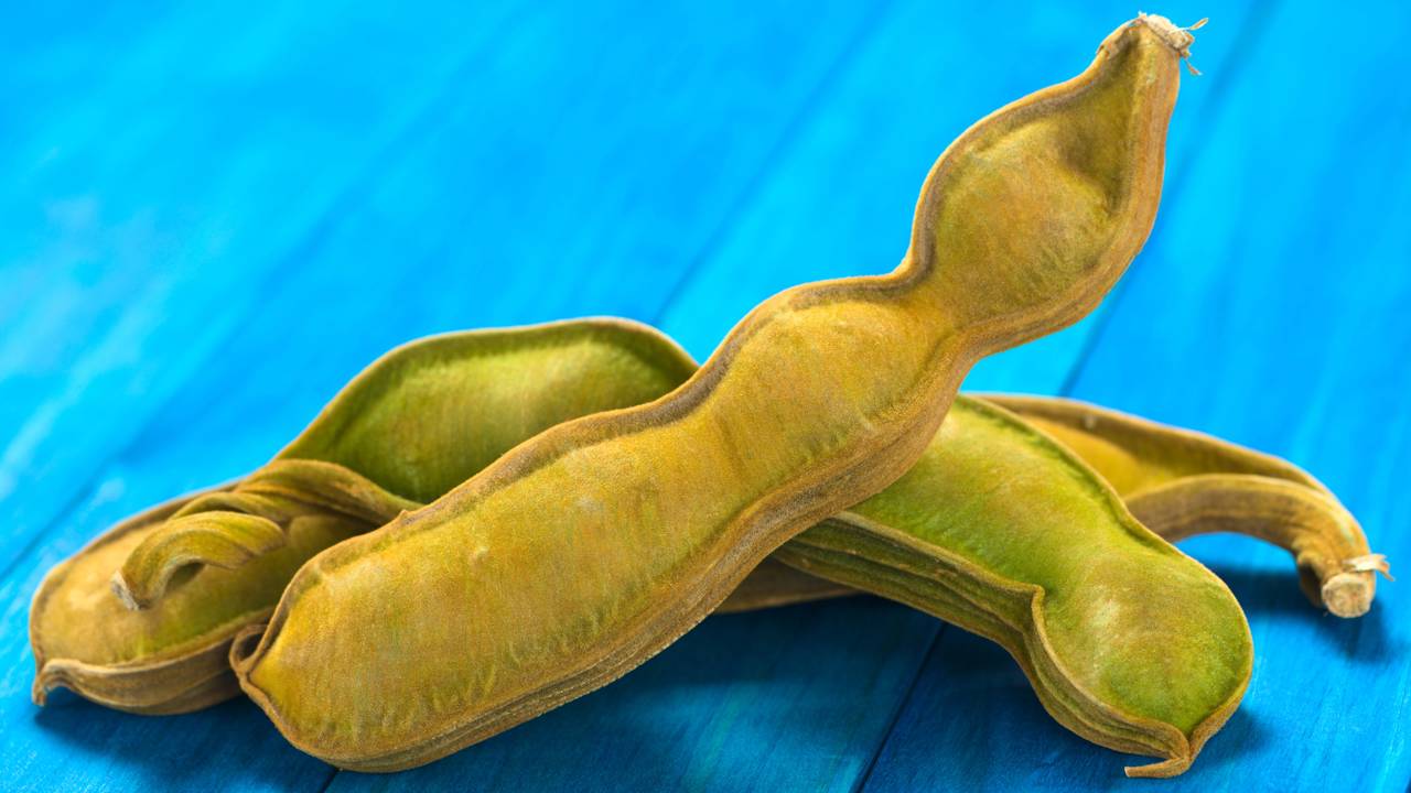 Fruta cultivada por povos antigos frutifica rápido e pode ser plantada em casa