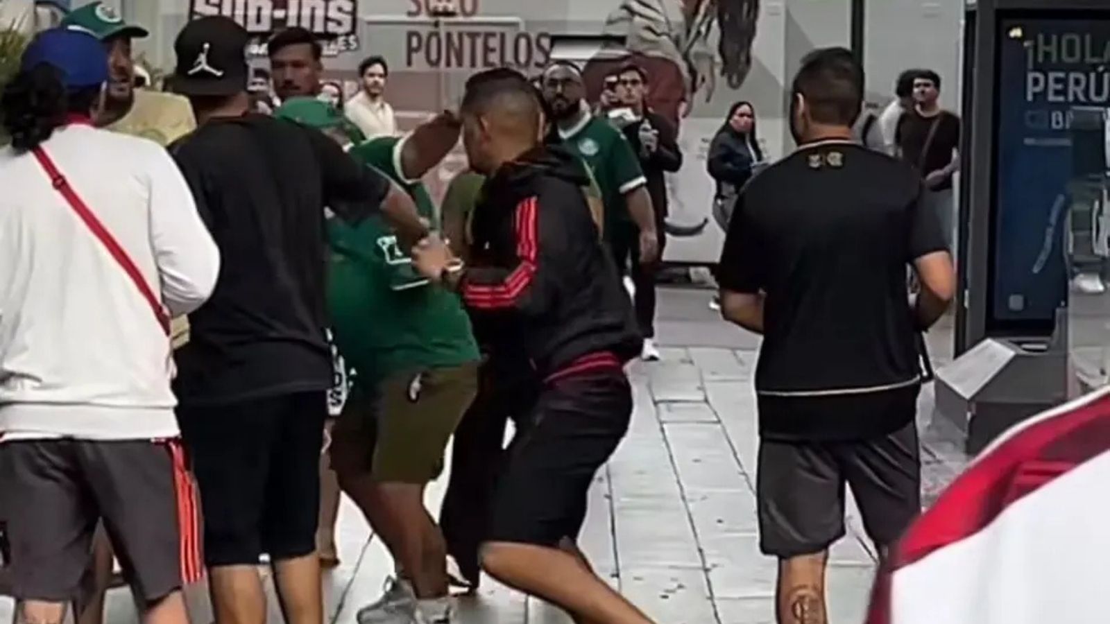 Palmeiras-Flamengo-Torcidas-Lima