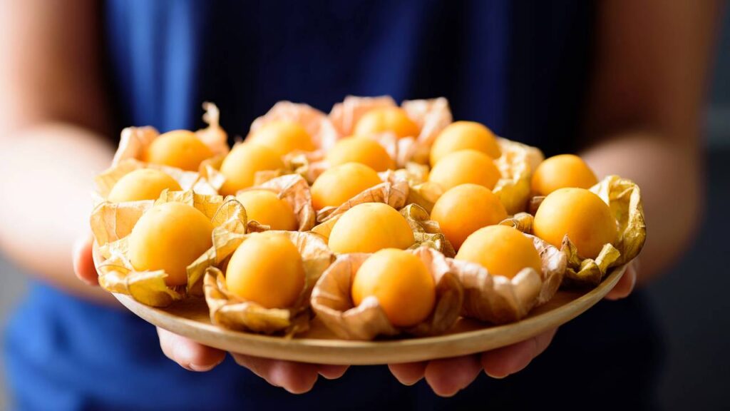 Essa planta dá frutos em apenas 40 dias e quase ninguém sabe que é comestível