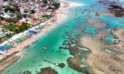 A praia do Brasil onde é possível ver golfinhos bem de pertinho