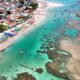 A praia do Brasil onde é possível ver golfinhos bem de pertinho