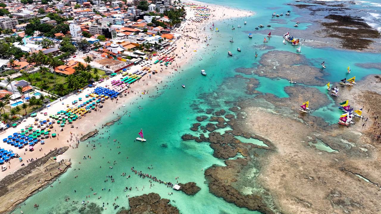 A praia do Brasil onde é possível ver golfinhos bem de pertinho