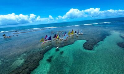 A praia do Brasil onde é possível ver golfinhos bem de pertinho