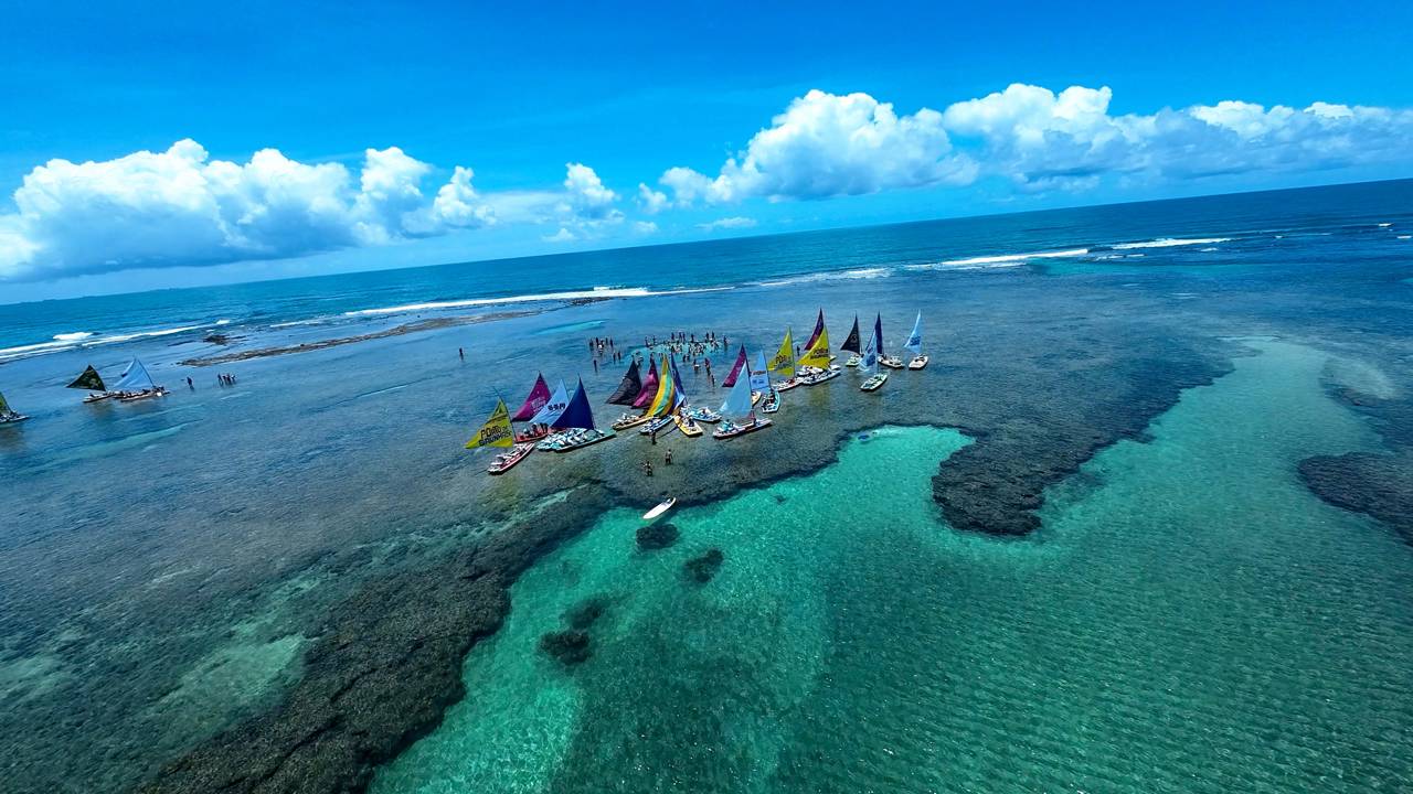 A praia do Brasil onde é possível ver golfinhos bem de pertinho