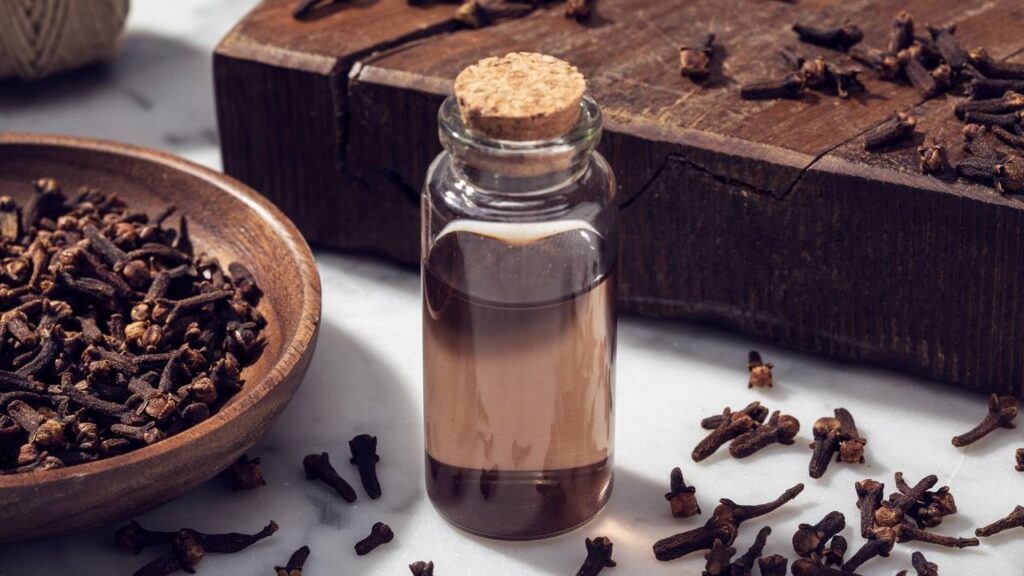 Essa especiaria comum age na cozinha de um jeito curioso contra formigas