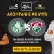 Palmeiras e Fluminense ao vivo
