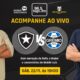 Botafogo e Grêmio ao vivo