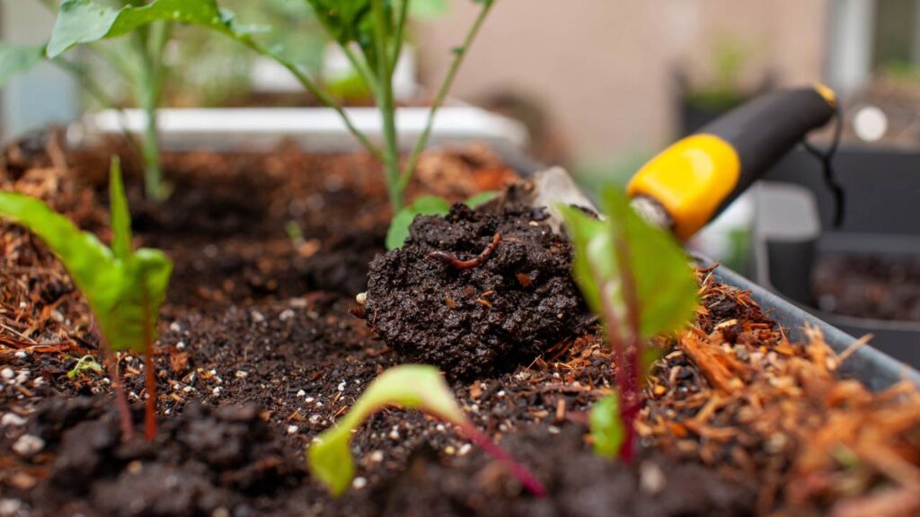 Método com potes perfurados permite adubação lenta, controlada e mais segura para o solo