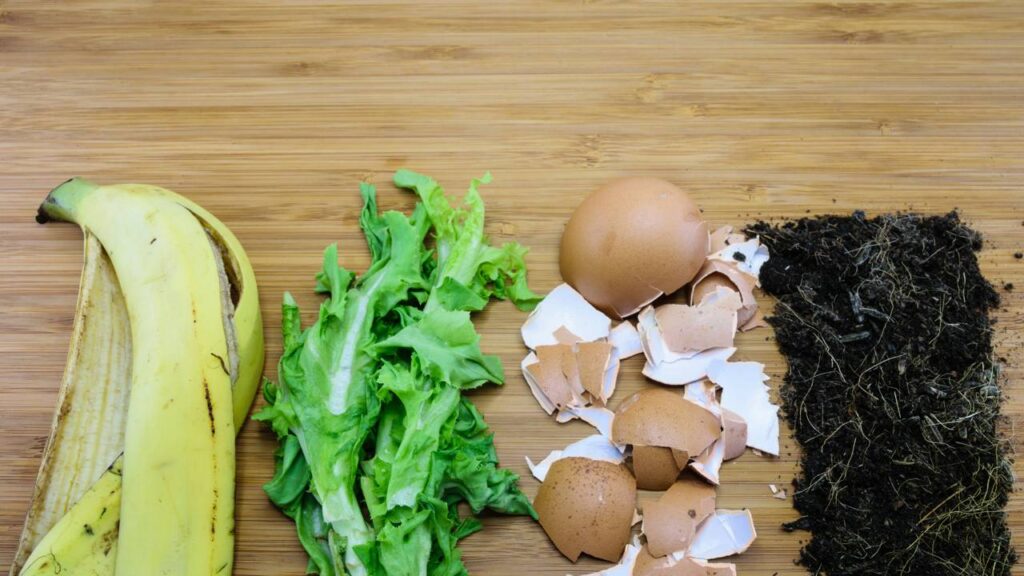 O que usar na sua planta para ela crescer mais rápido sem gastar dinheiro