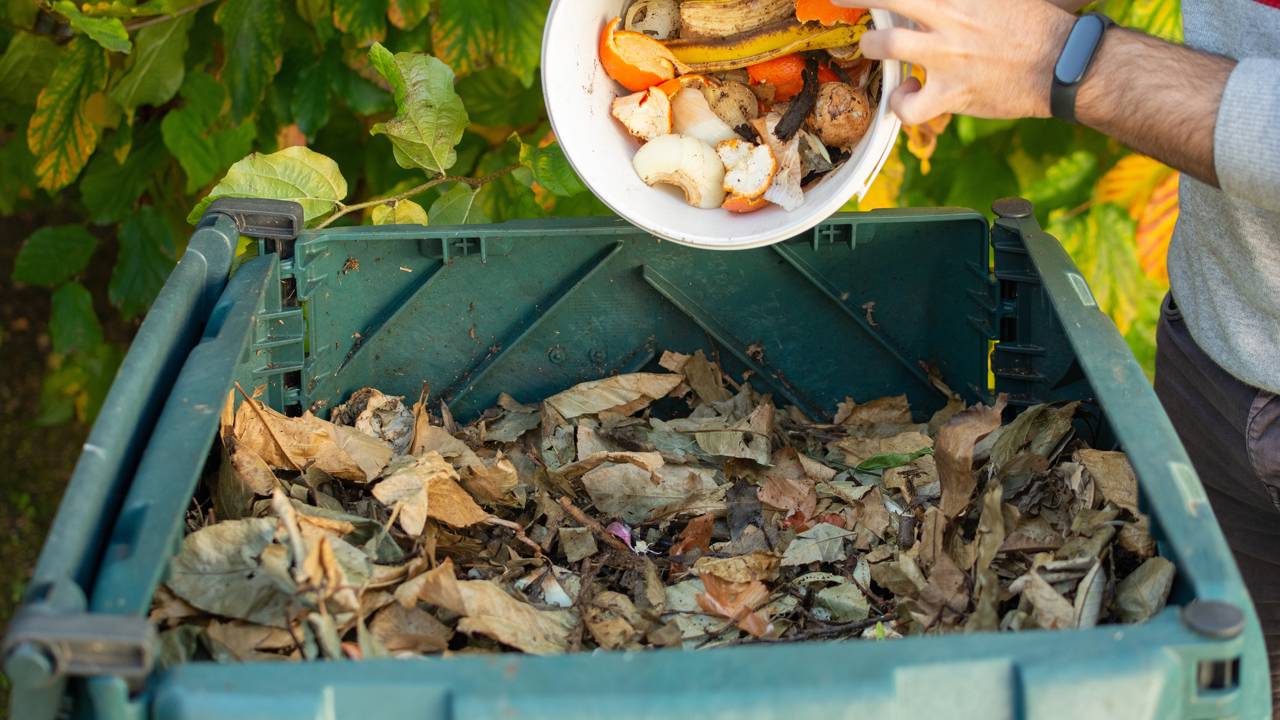 Transforme o que sobra na cozinha em adubo para suas plantas continuarem fortes