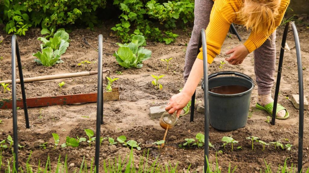 Uma mistura caseira está chamando atenção após resultados fora da curva no crescimento das plantas
