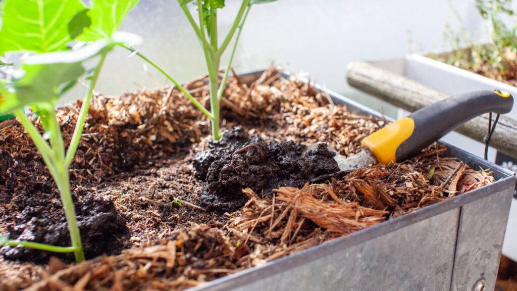 Aqui em casa comecei a usar esse adubo e as plantas ficaram lindas