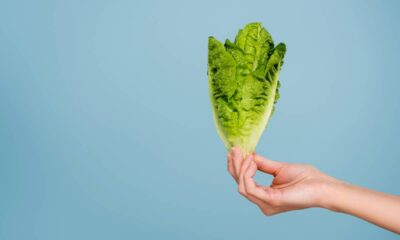 O segredo para conservar alface crocante por até 10 dias