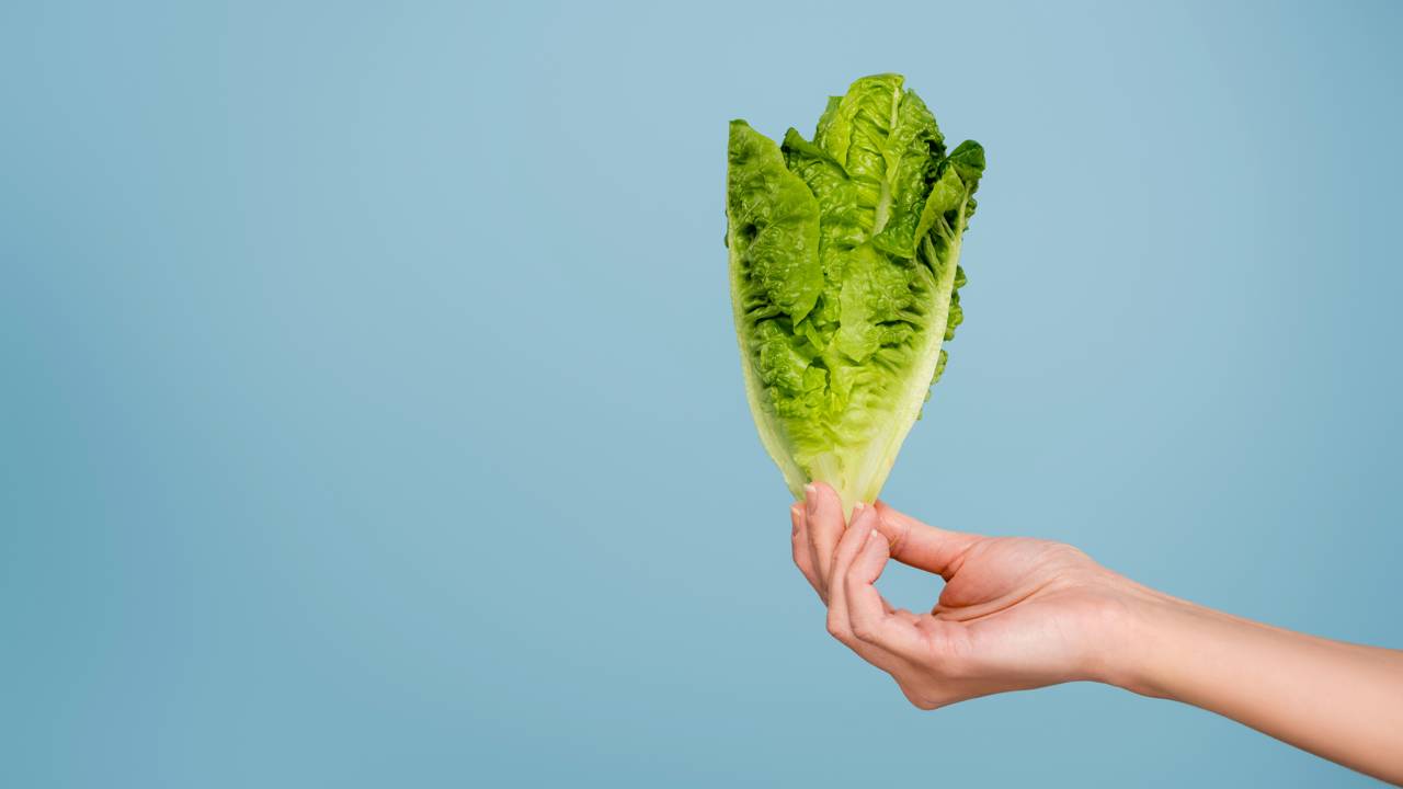 O segredo para conservar alface crocante por até 10 dias