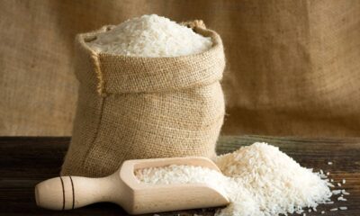 O jeito certo de armazenar o arroz para evitar carunchos