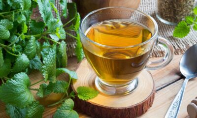 O bálsamo é conhecido como a planta que simboliza equilíbrio e harmonia no lar