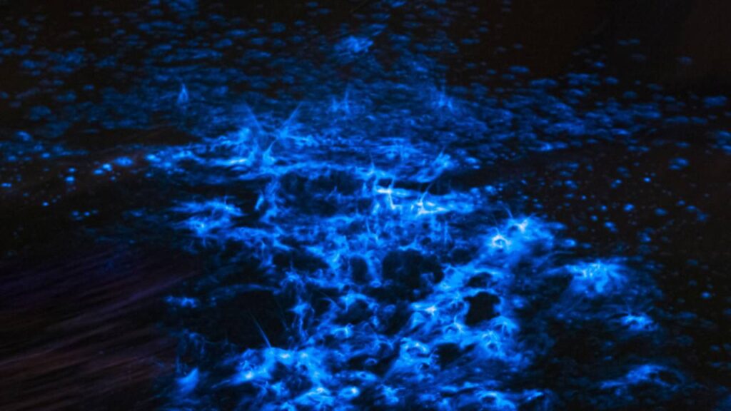 O mistério por trás do brilho que aparece no mar durante a noite no mar