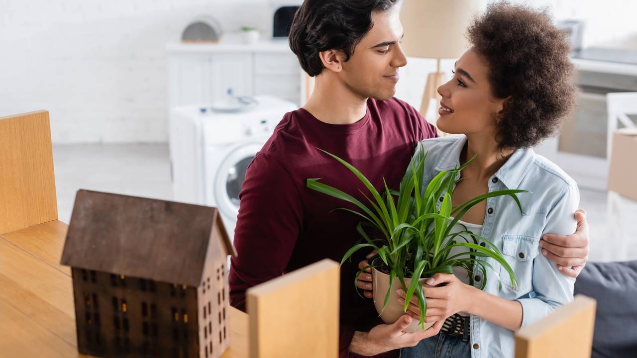 As flores que combinam com cada cômodo da casa