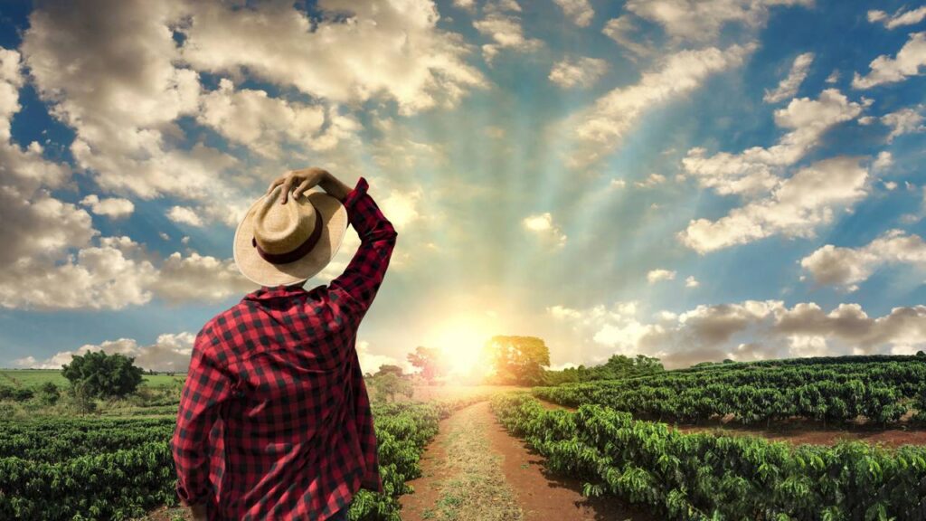 Você conhece o coletivo de café?