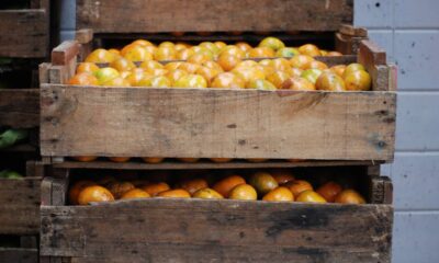 Transforme caixote de feira em mesa estilosa e funcional