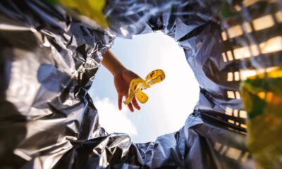 Um preparo simples com casca de banana pode transformar suas plantas