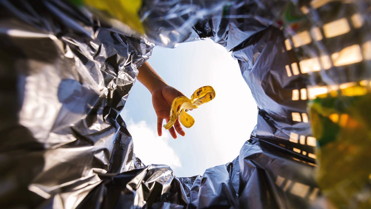 Um preparo simples com casca de banana pode transformar suas plantas