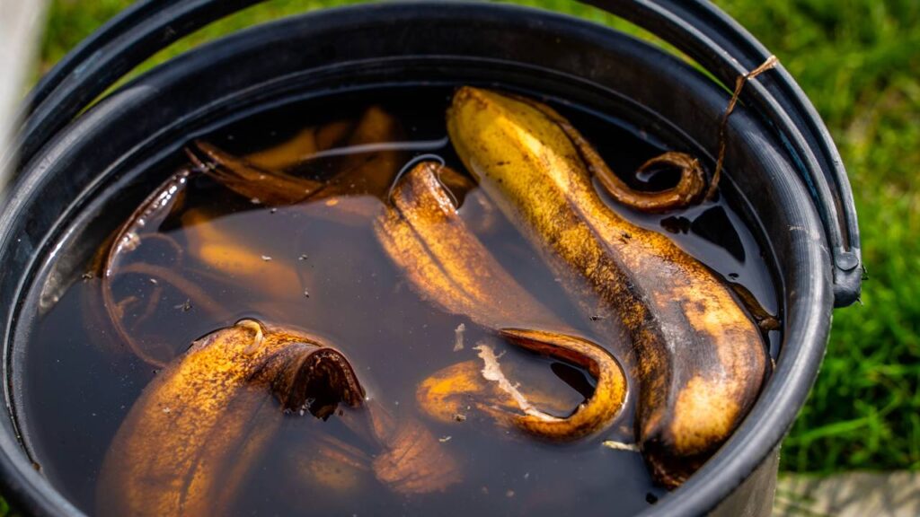 Um preparo simples com casca de banana pode transformar suas plantas