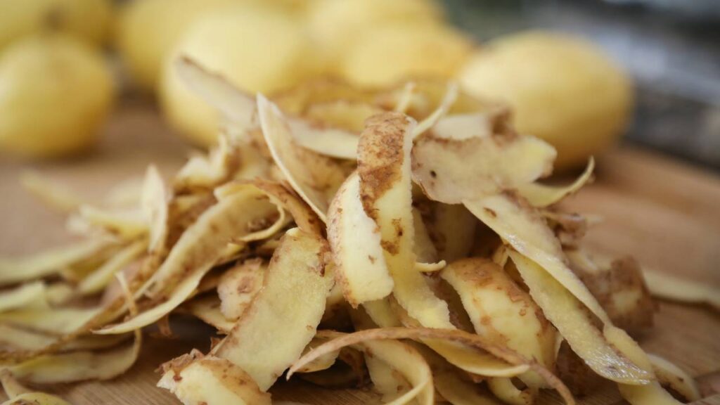 A casca de batata faz algo curioso no solo e muita gente ainda nem percebeu