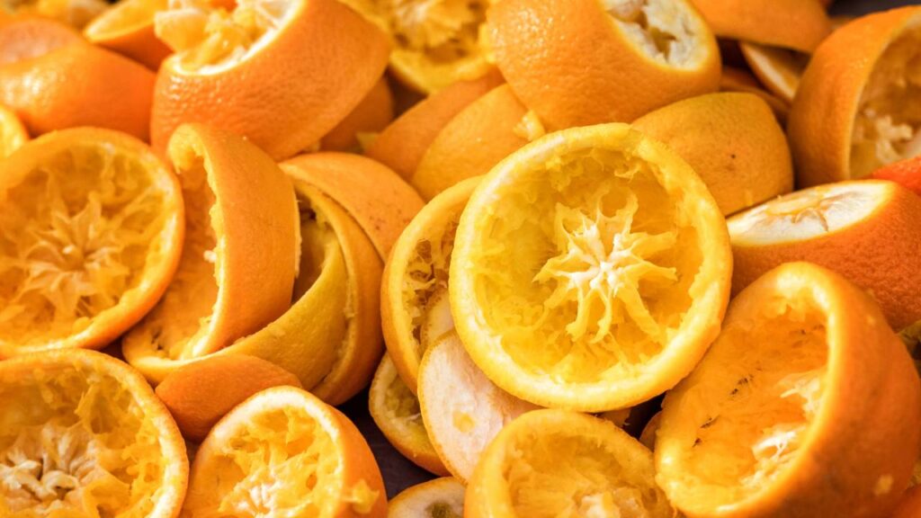 O adubo com casca de laranja que melhora o solo e ainda afasta insetos