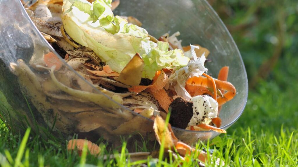 O adubo caseiro com cascas de legumes que substitui o químico e muita gente nem imagina