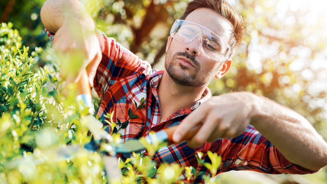 Uma combinação de plantas cria uma barreira natural contra pragas