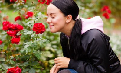 Flores que embelezam, perfumam e crescem o ano todo sem dar trabalho