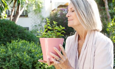 5 ervas que funcionam como repelente natural e fácil de cultivar